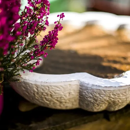 Feng Shui Wellness Apartman Hévíz