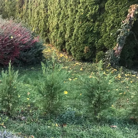 Feng Shui Wellness Apartmanhaz Heviz Heviz