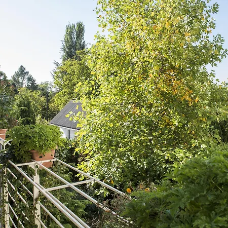 Feng Shui Wellness Apartment