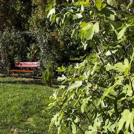 Διαμέρισμα Feng Shui Wellness Apartmanhaz