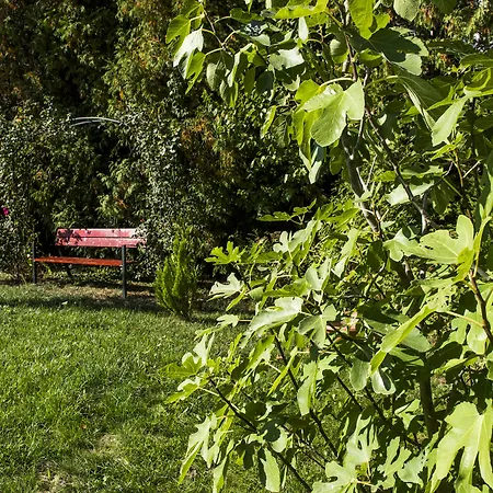 Апартаменты Feng Shui Wellness Apartmanhaz *