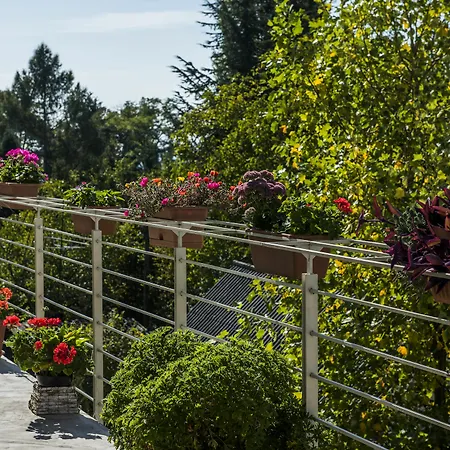 Feng Shui Wellness