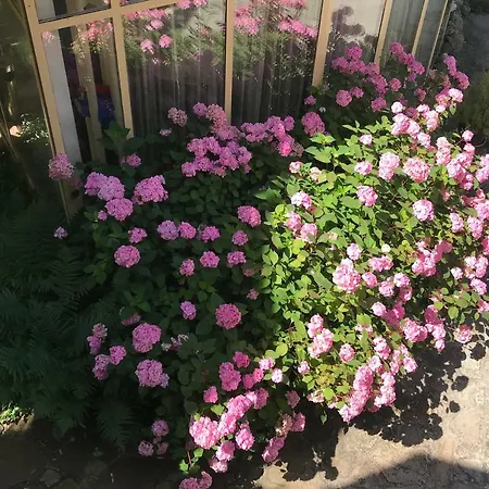 Διαμέρισμα Feng Shui Wellness Apartmanhaz *