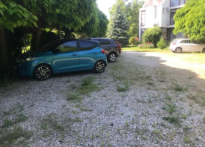 Feng Shui Wellness *