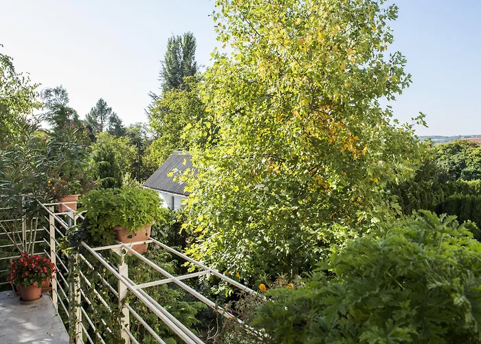 Feng Shui Wellness Apartman