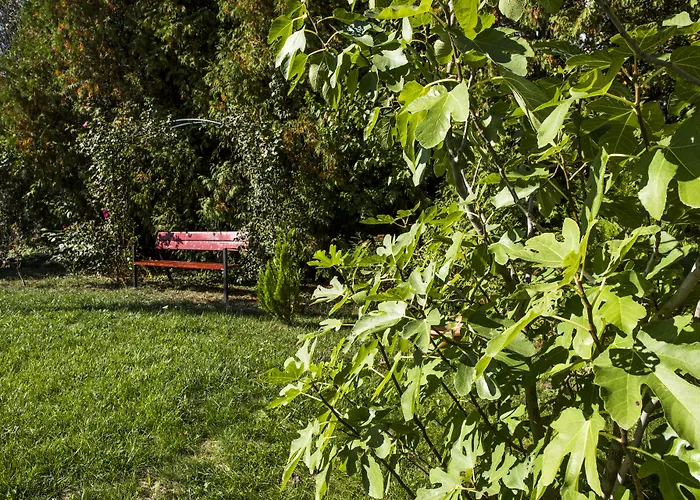 Appartement Feng Shui Wellness