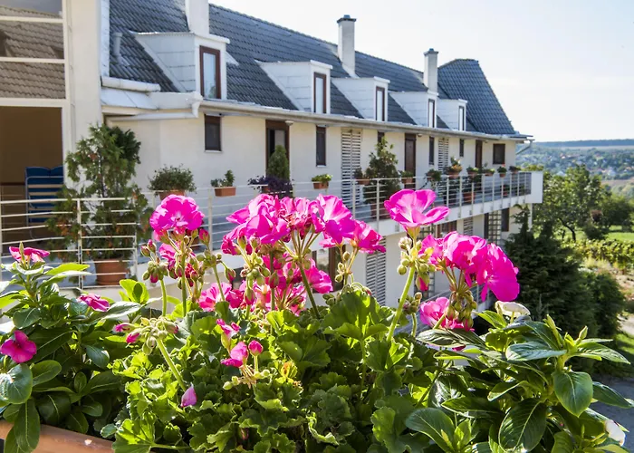 Feng Shui Wellness Apartment