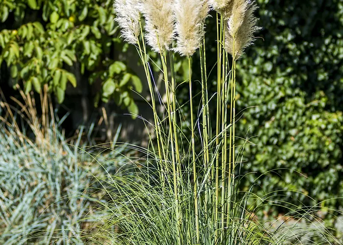 Feng Shui Wellness Hévíz