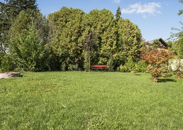 Apartment Feng Shui Wellness