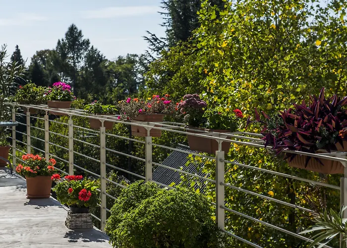 Feng Shui Wellness *