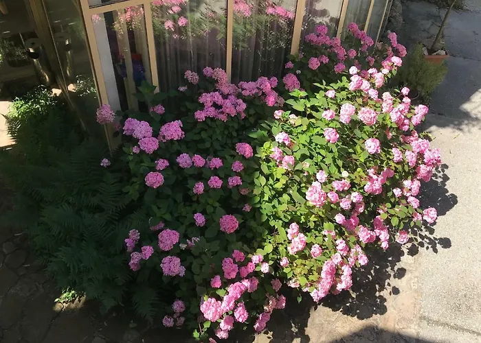 Apartman Feng Shui Wellness *