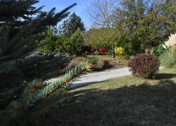 Apartment Feng Shui Wellness